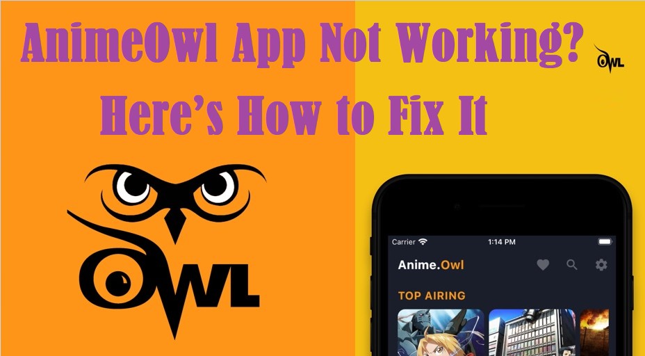 how to fix vid streaming on 9anime｜TikTok Search